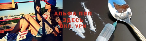 ПСИЛОЦИБИНОВЫЕ ГРИБЫ Белокуриха