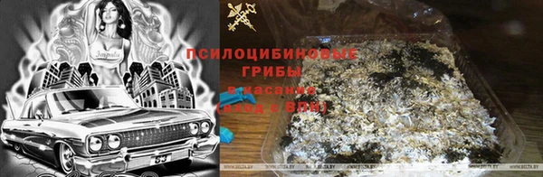 крисы Беломорск