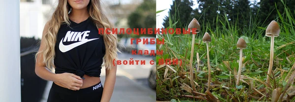 ПСИЛОЦИБИНОВЫЕ ГРИБЫ Белокуриха