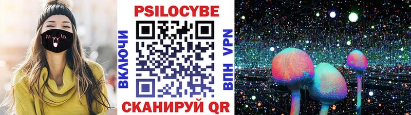 Галлюциногенные грибы мицелий МЕГА онион Давлеканово дарнет шоп